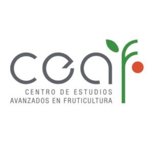 Inicio - Relematic.mx - ceaf